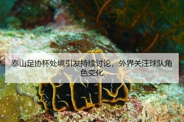 tai-shan-zu-xie-bei-chu-jing-yin-fa-chi-xu-tao-lun-wai-jie-guan-zhu-qiu-dui-jue-se-bian-hua-2-562.jpg